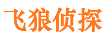 甘肃市私家侦探